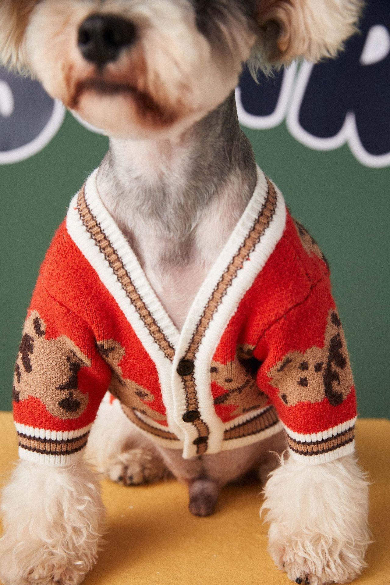 Preppy Paws V-Neck Striped Sweater - Cozy Winter Apparel For Dogs And Cats-4