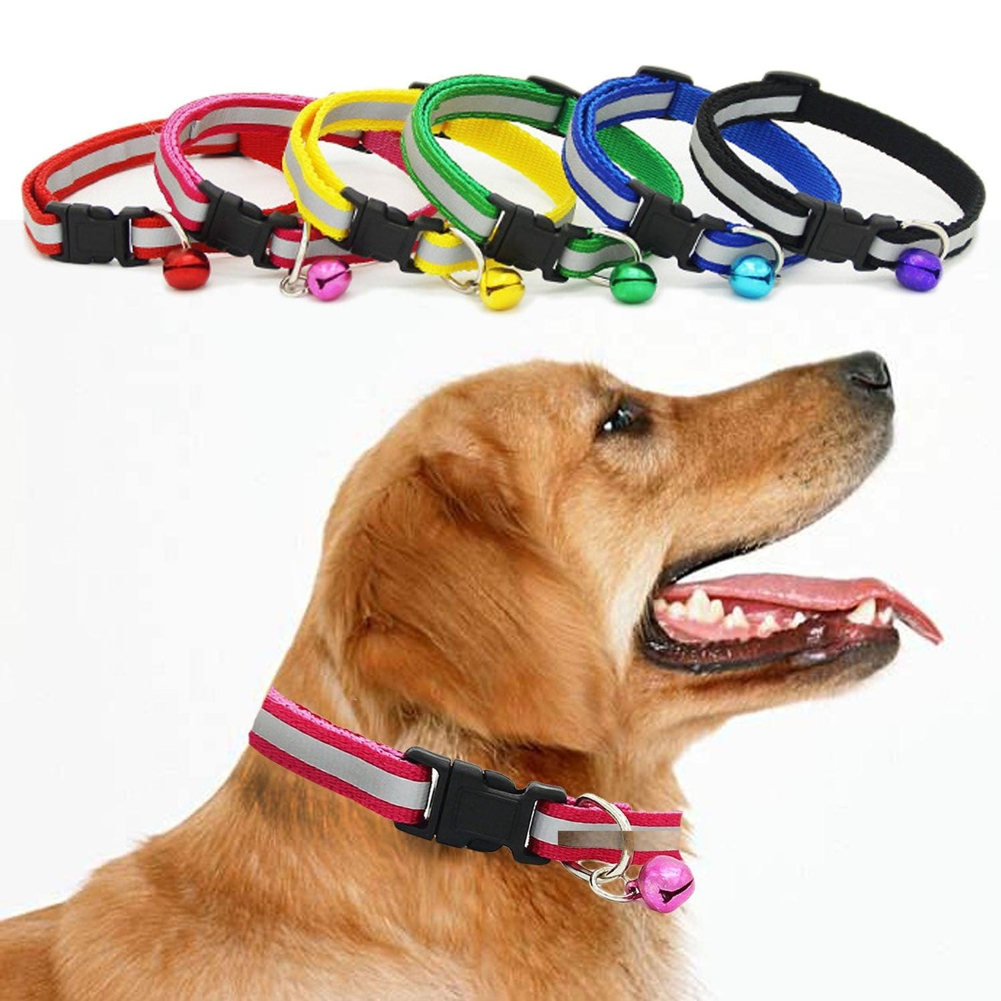 Reflective Glow Collar-0