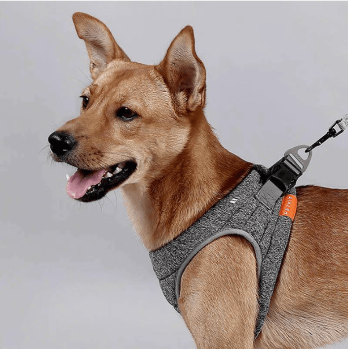 Stylish Rope Leash With Adjustable Size And Carabiner Attachment-1