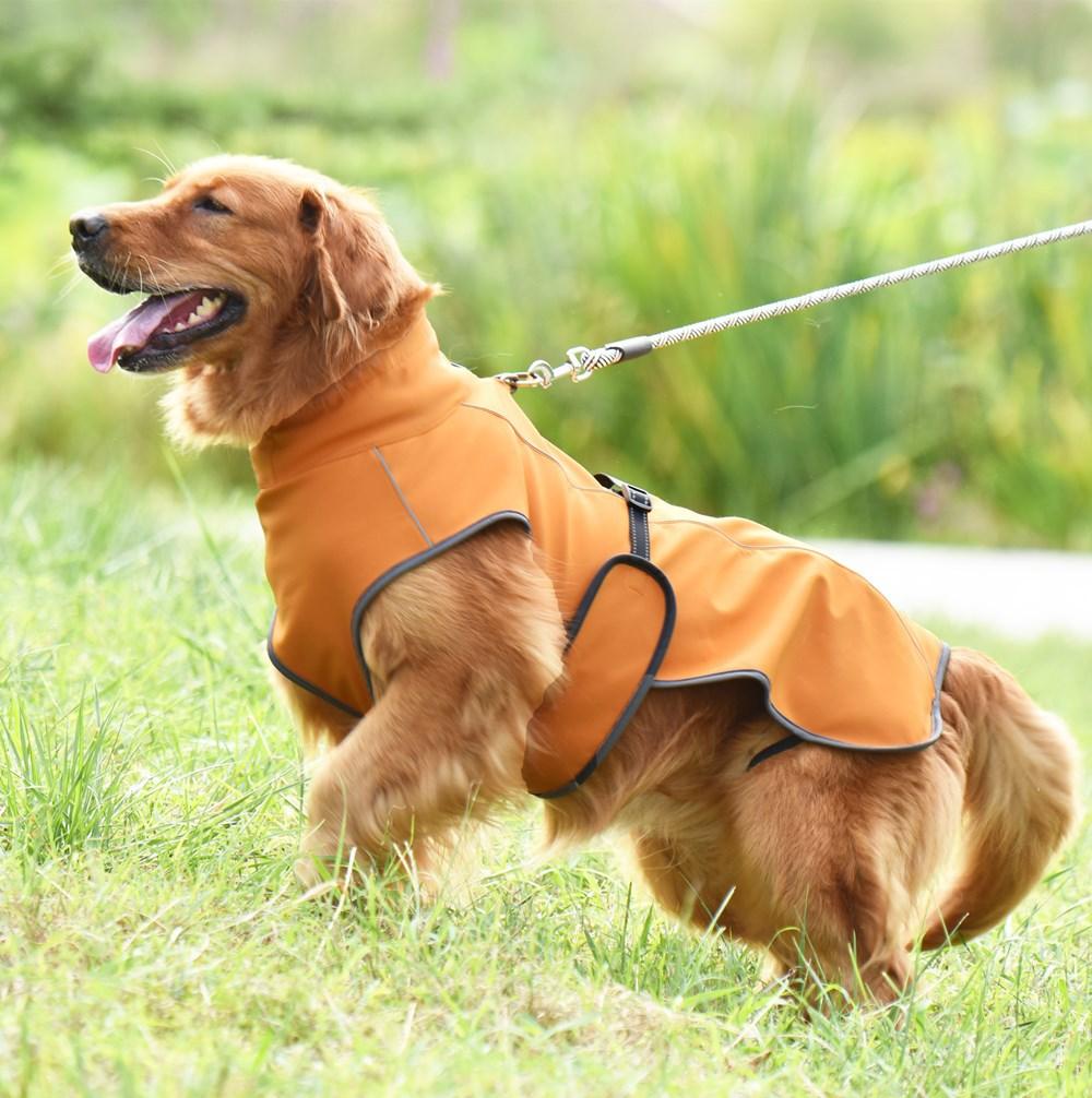 Reflective Warm Dog Coat For Autumn And Winter Walks-1