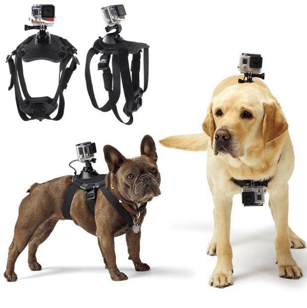 Adventure Paws Camera Mount Harness For Dogs-5
