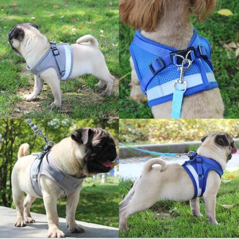 Reflective Airmesh Pet Harness: The Ultimate Comfort And Safety Solution For Your Furry Friend-0