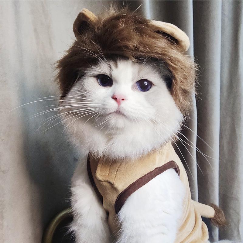 Pet Costume: Lion King Transformation Outfit For Dogs And Cats-2