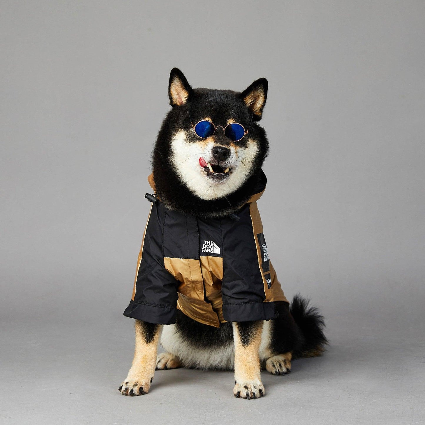 Golden Dog Raincoat - Stylish And Waterproof Pet Jacket-1
