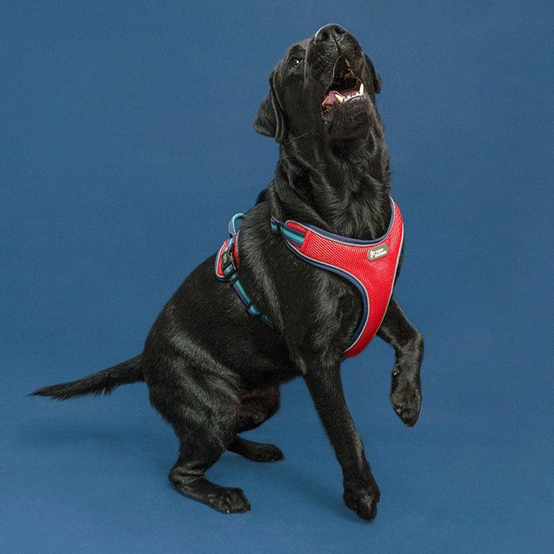 Breathable Mesh Dog Harness With Anti-Breakaway Traction Rope-3