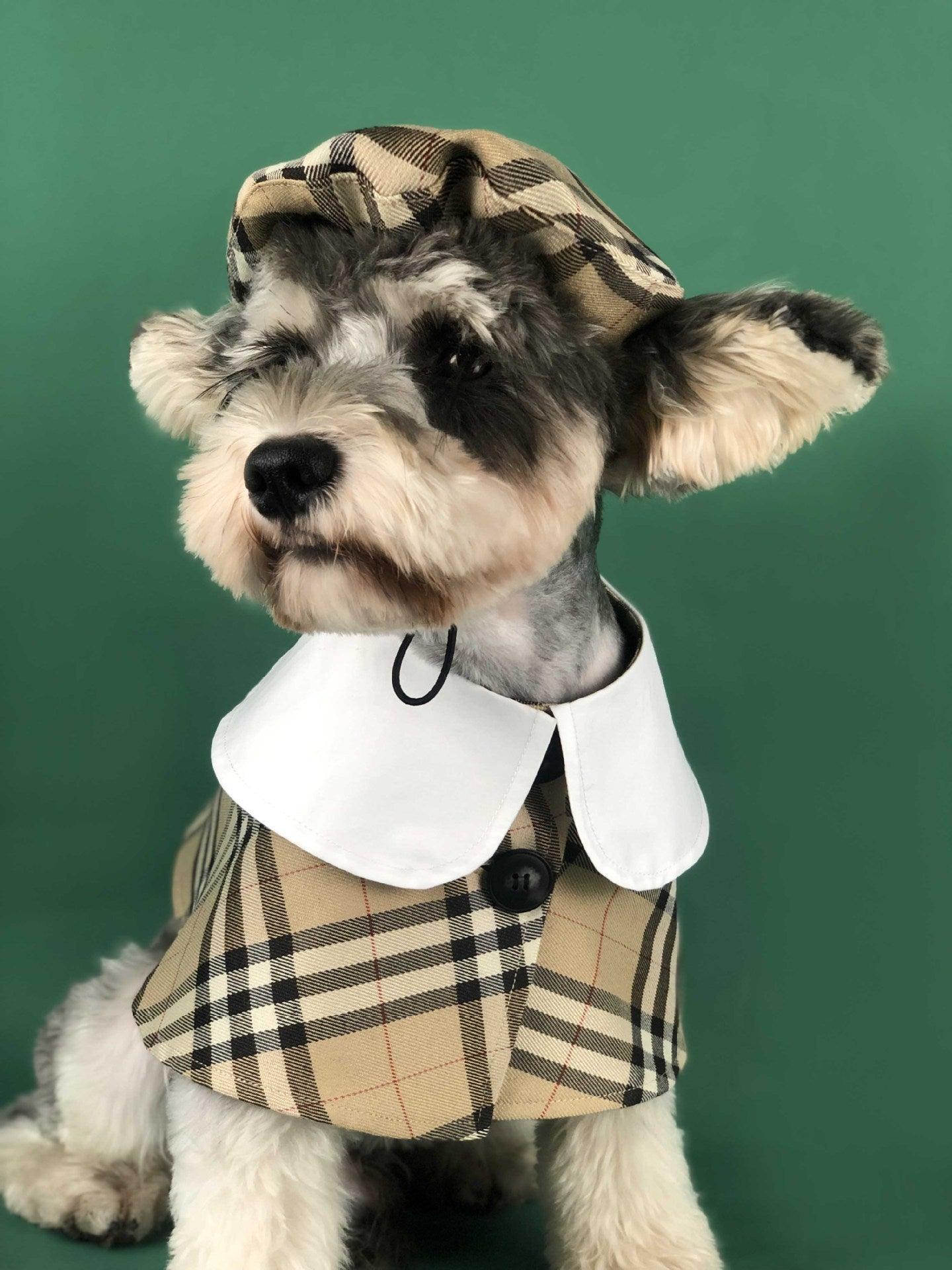 British Chic Canine Couture-0