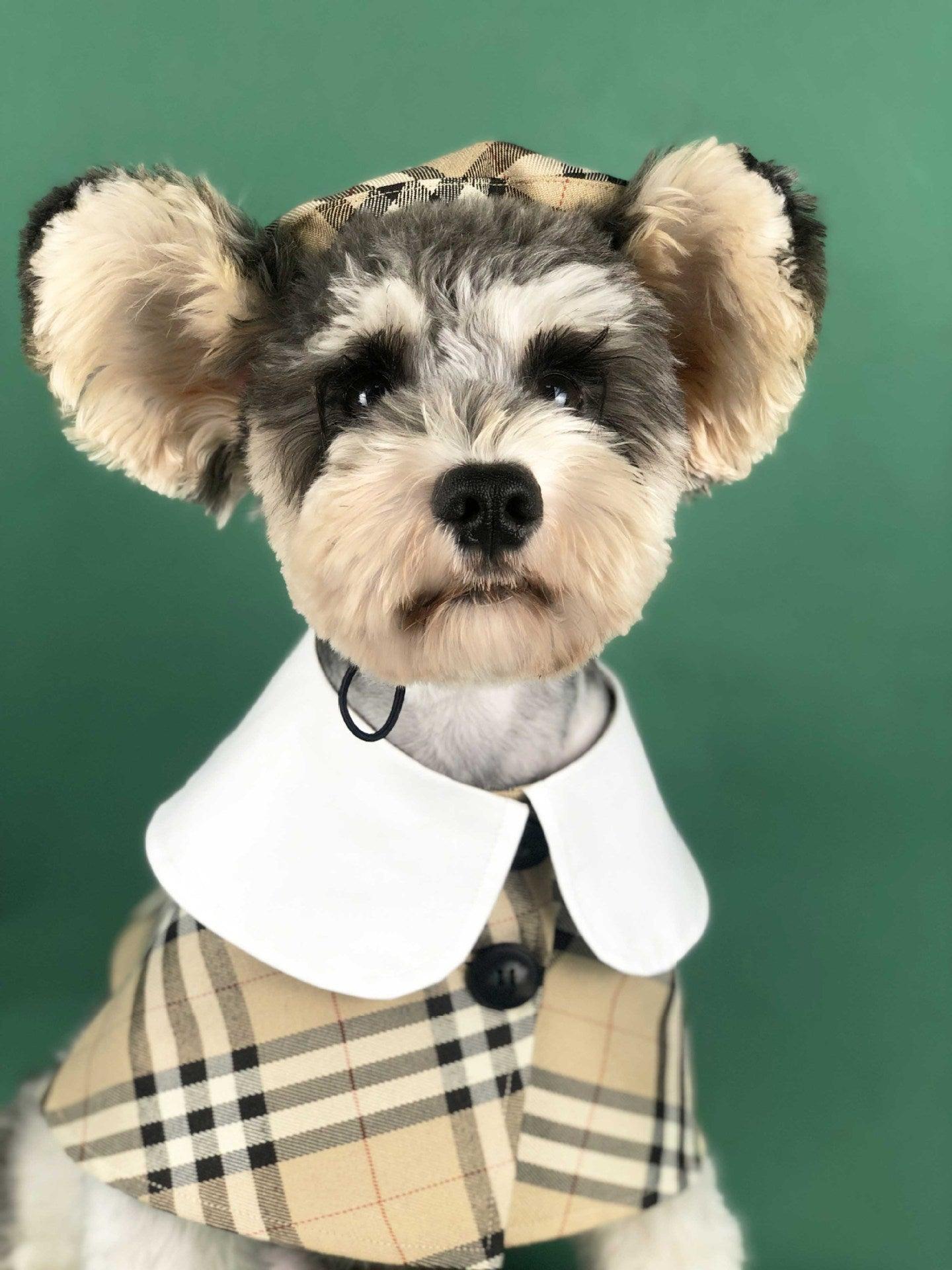 British Chic Canine Couture-4