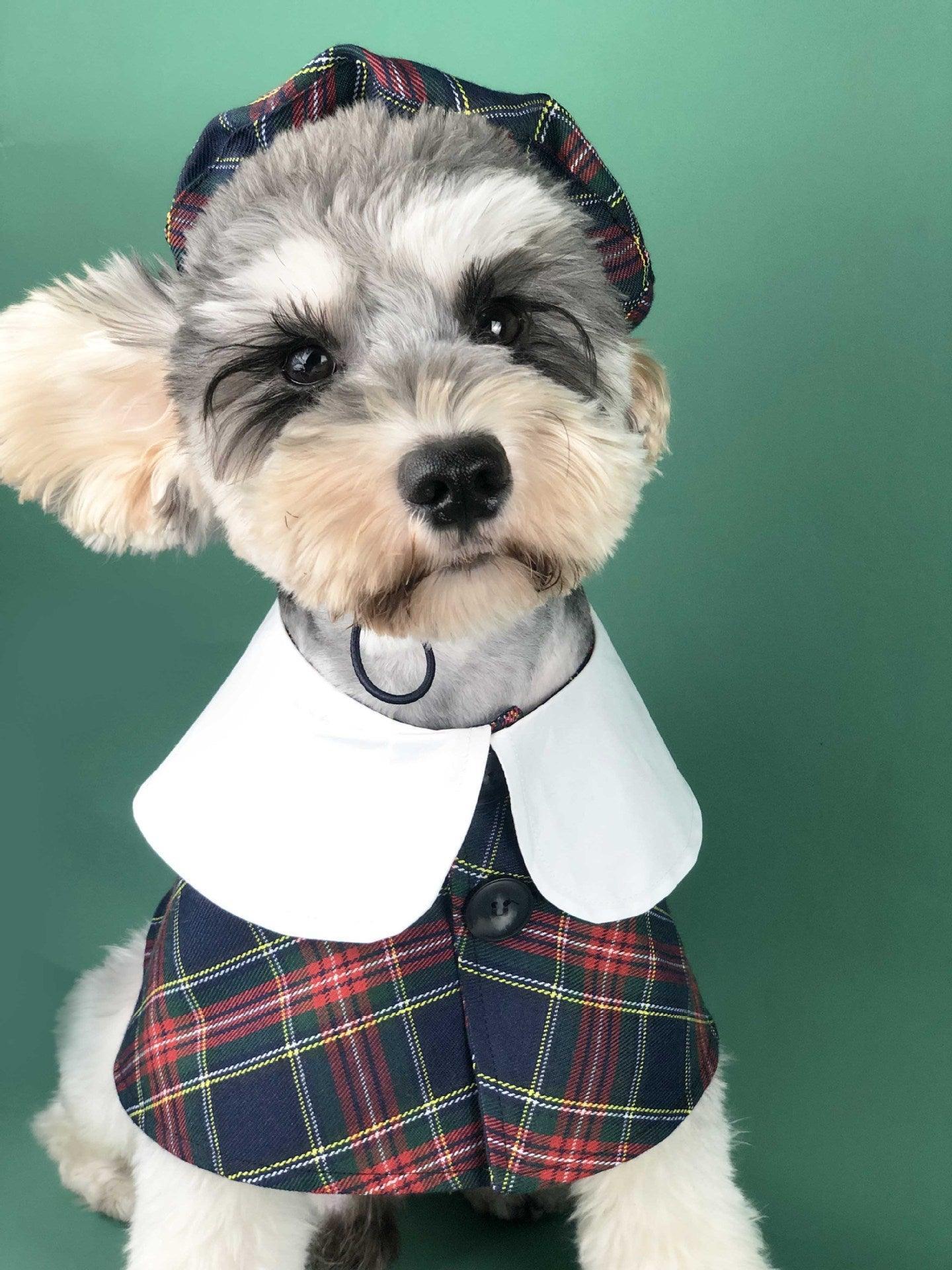 British Chic Canine Couture-1