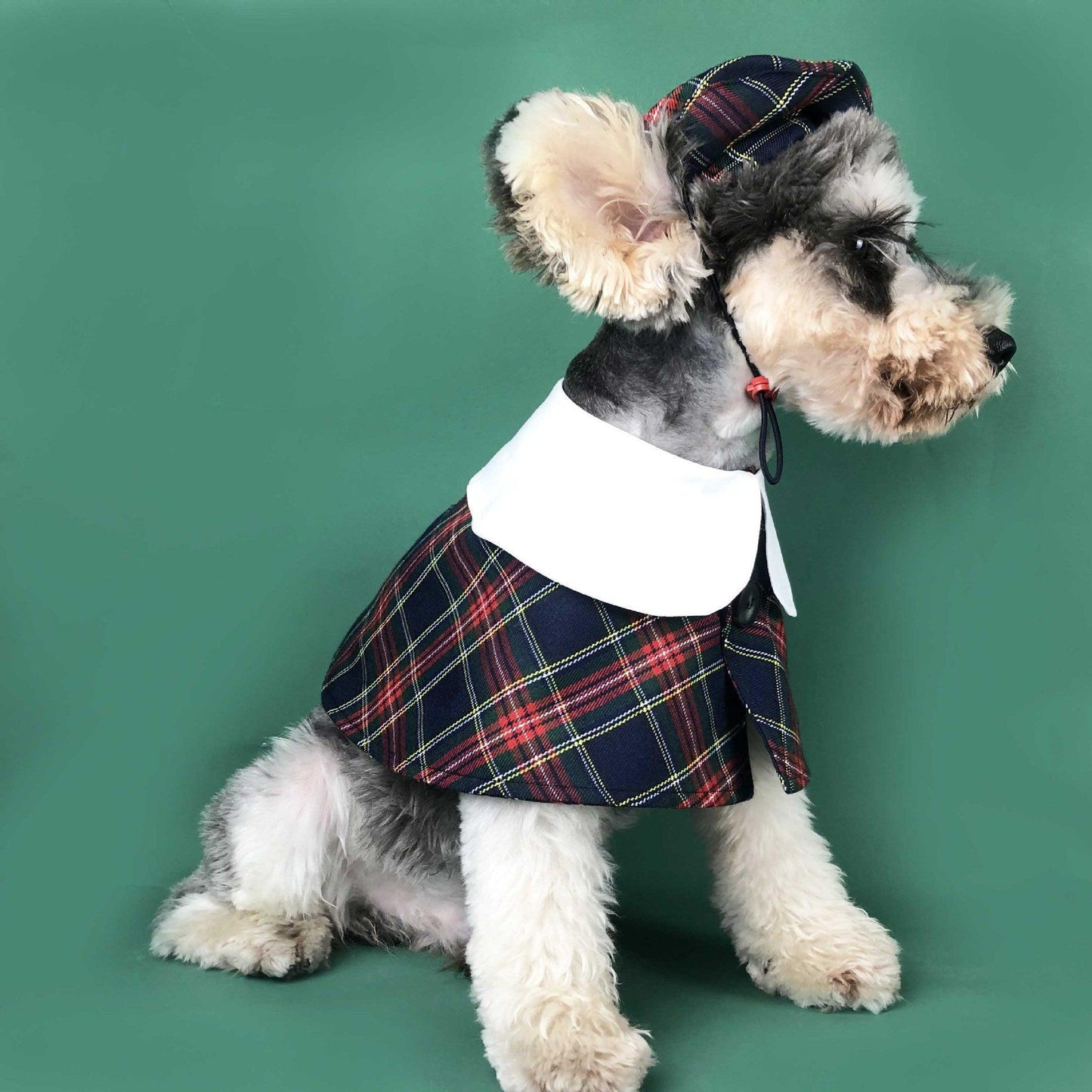 British Chic Canine Couture-3