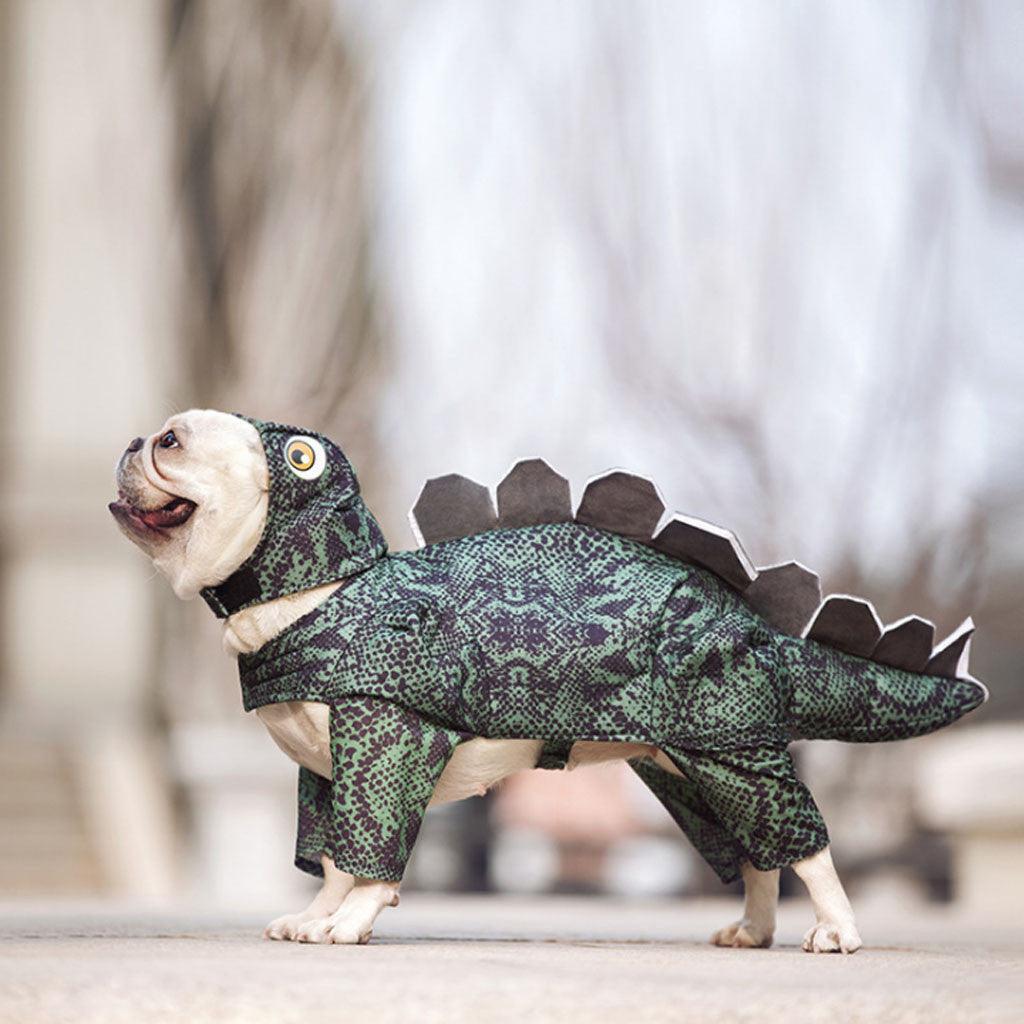 Bunnylicious Dino Dress: Adorable Pet Dinosaur Clothes For Fashionable Females-1