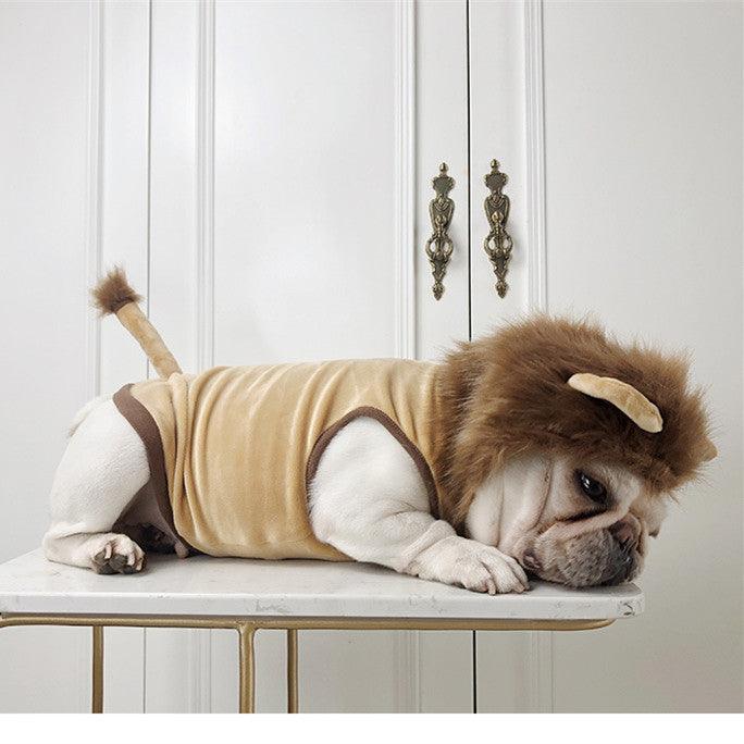 Pet Costume: Lion King Transformation Outfit For Dogs And Cats-0