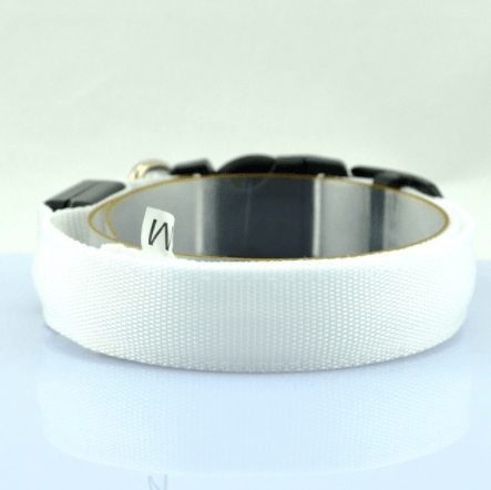 Luminous Glow Dog Collar - Illuminate Your Pup In Style!-3