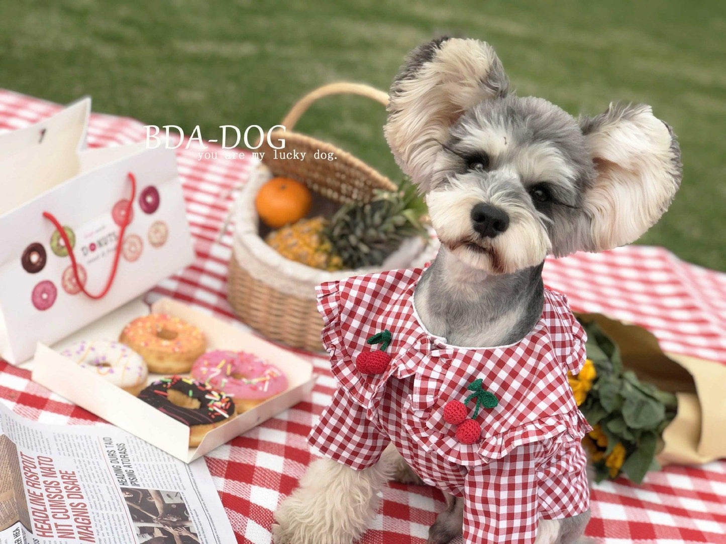 Checkered Summer Dog Shirt: Stylish And Breathable For Small Dogs-2