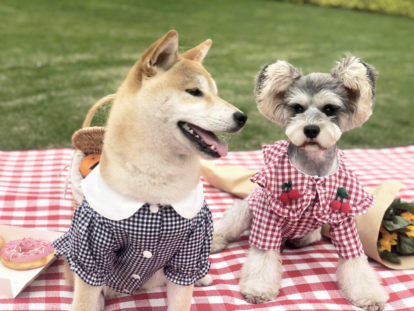 Checkered Summer Dog Shirt: Stylish And Breathable For Small Dogs-4