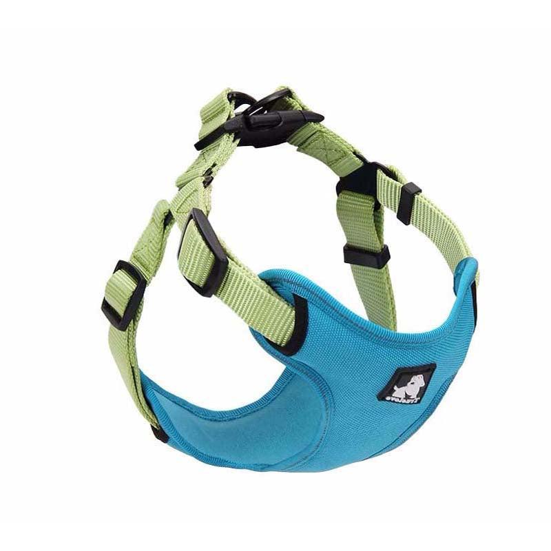 Comfortmesh Dog Leash Collar: Convenient And Stylish Walking Companion For Dogs Of All Sizes-0