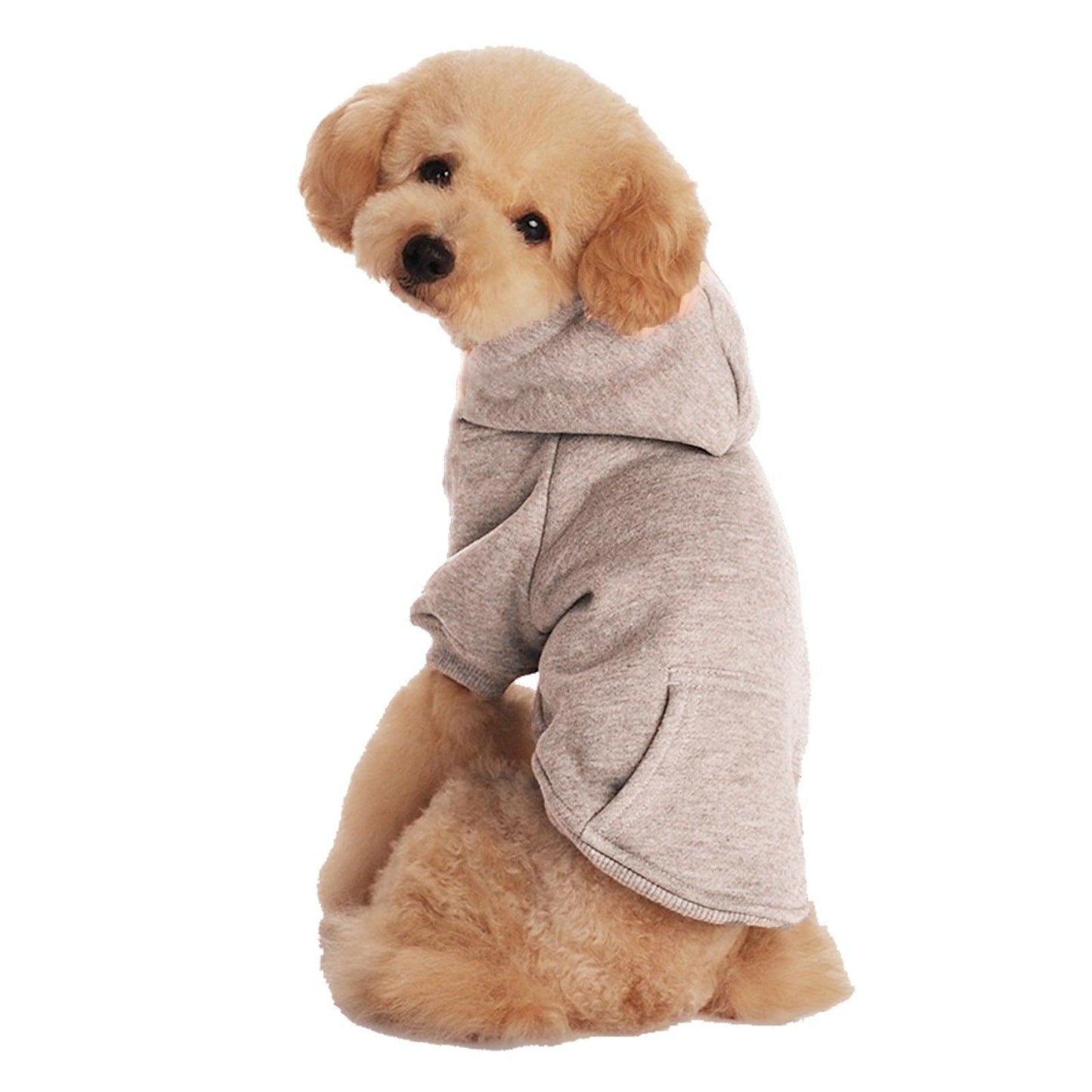Cozy Canine Caps And Fleece Sweaters For Small And Medium Sized Dogs-1