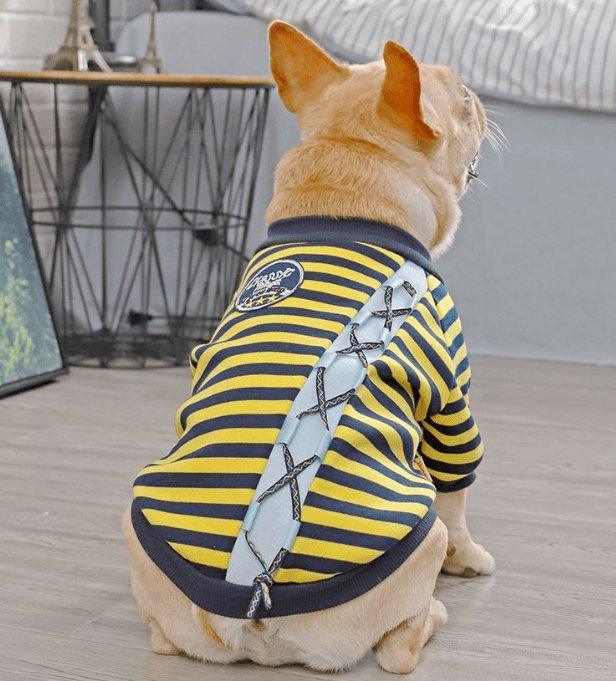 Cozy Canine Cotton Sweater-1