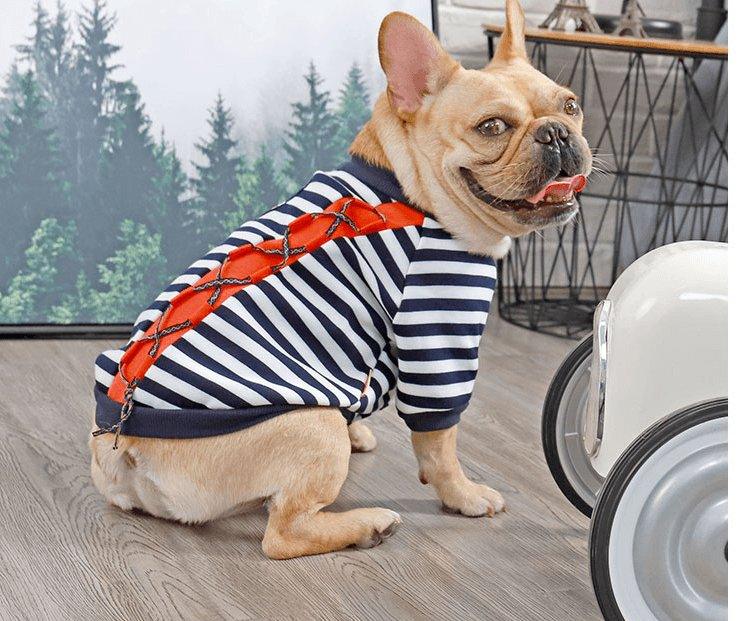 Cozy Canine Cotton Sweater-6