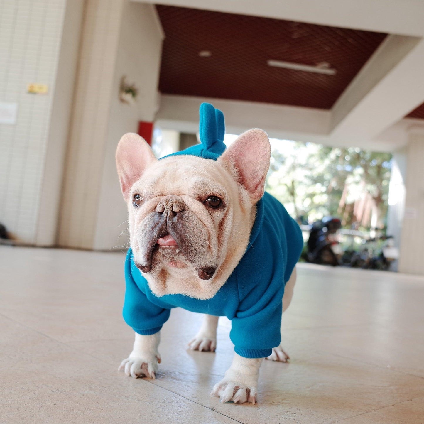 Cozy Canine Fleece Hoodie-3