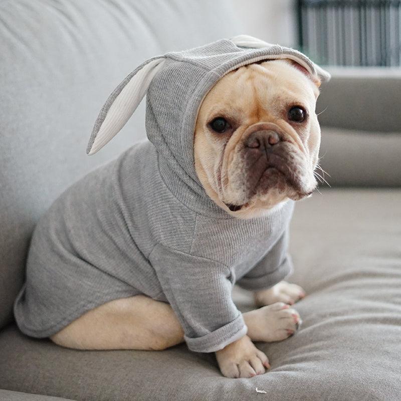 Cozy Canine Spring And Autumn Sweater-0