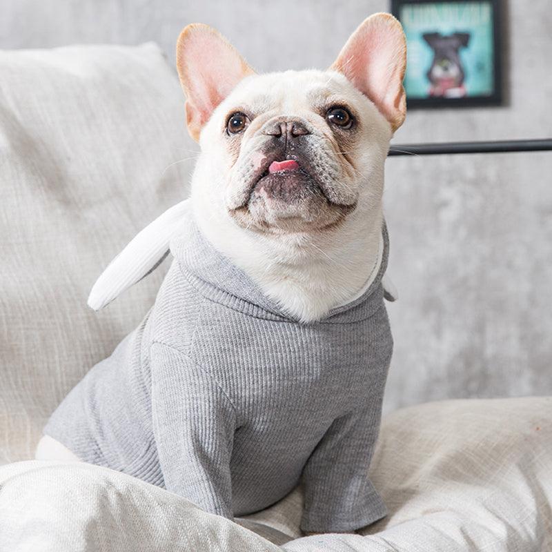 Cozy Canine Spring And Autumn Sweater-4