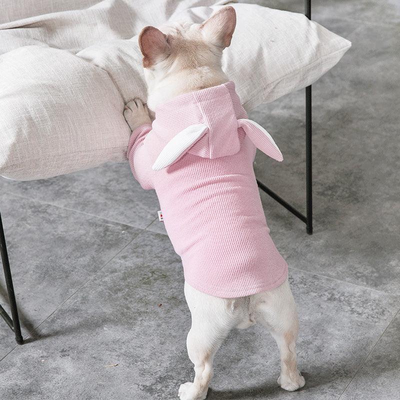 Cozy Canine Spring And Autumn Sweater-1