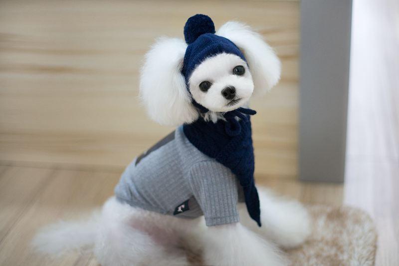 Cozy Canine Winter Ensemble: Dog Hat, Bib, Suit, And Scarf Set-1