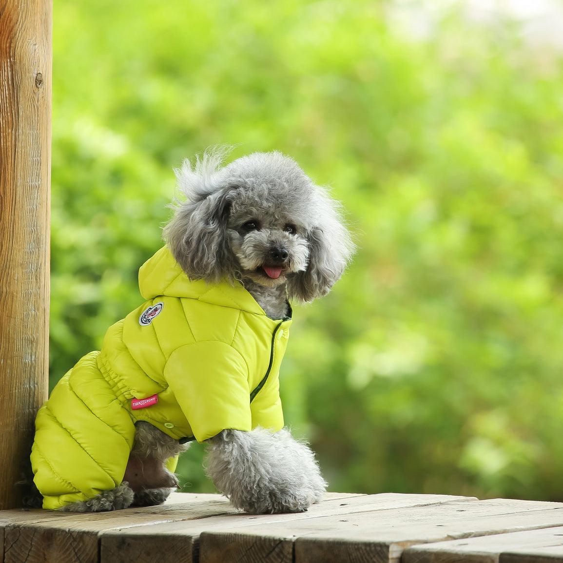 Cozy Canine Winter Jacket-5