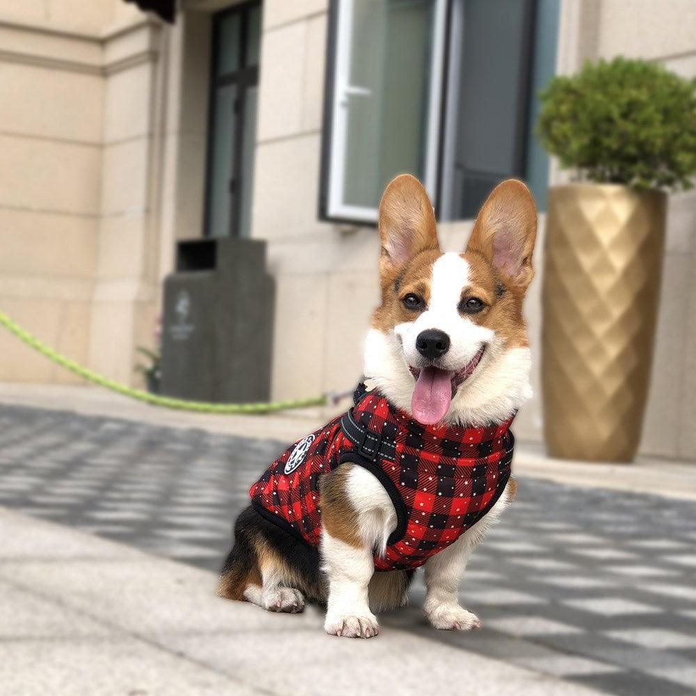 Cozy Canine Winterwear: Waterproof Reflective Tape Dog Jacket-2