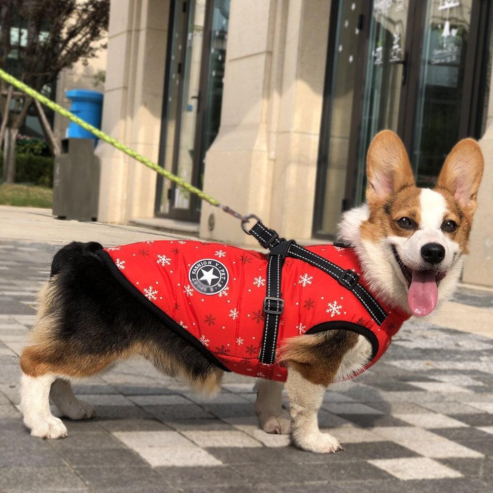 Cozy Canine Winterwear: Waterproof Reflective Tape Dog Jacket-1