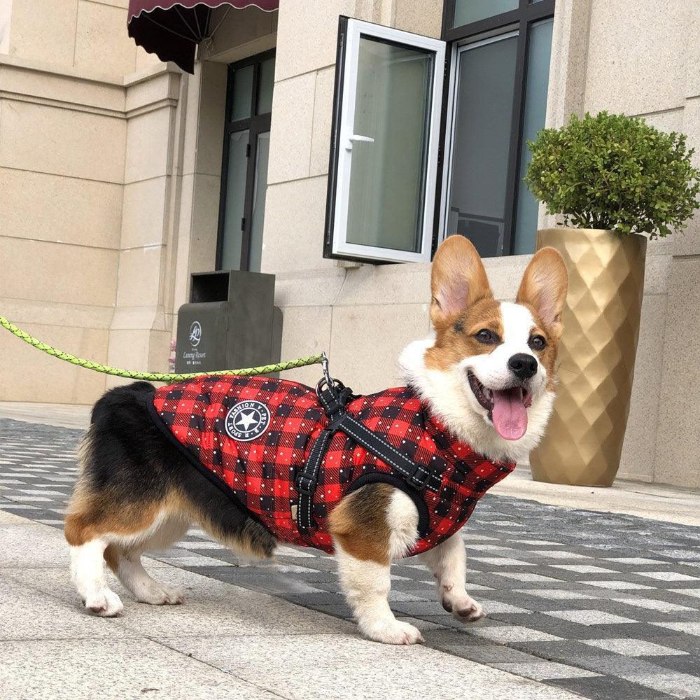 Cozy Canine Winterwear: Waterproof Reflective Tape Dog Jacket-0