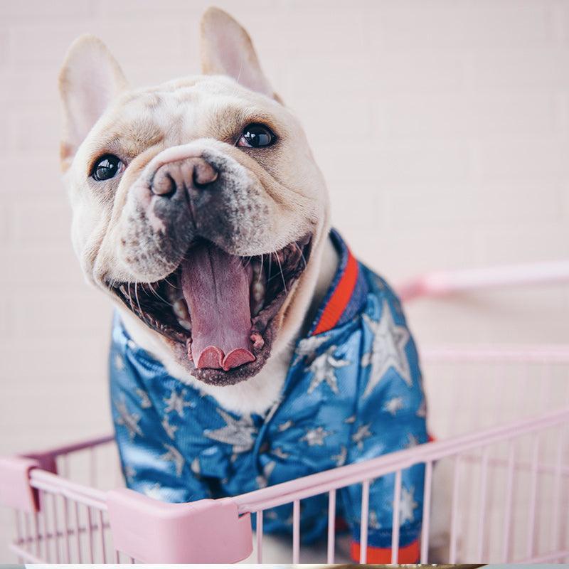 Cozy Cotton Dog Jacket - Stay Warm In Style!-4
