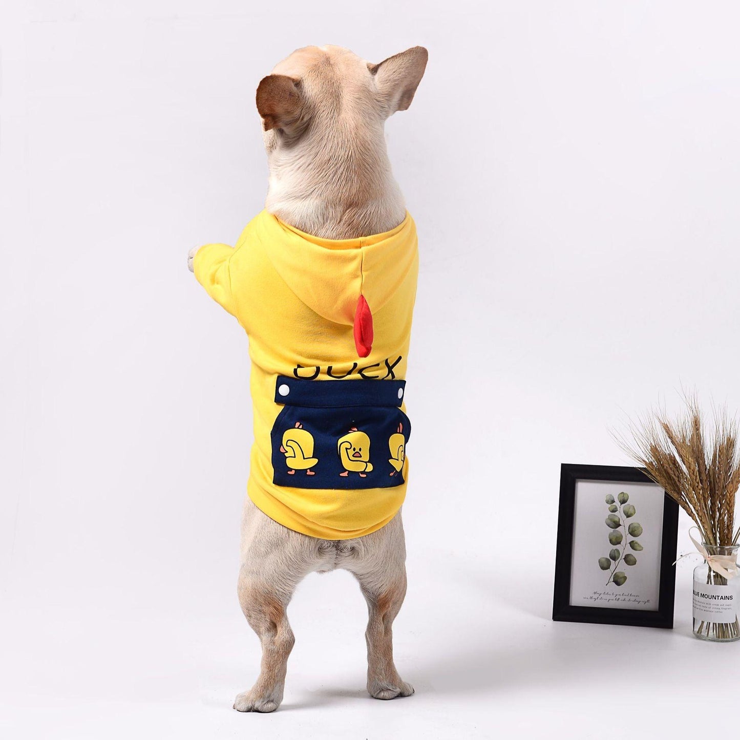 Cozy Cotton Dog Sweatshirt - Stylish And Warm Pet Apparel-1