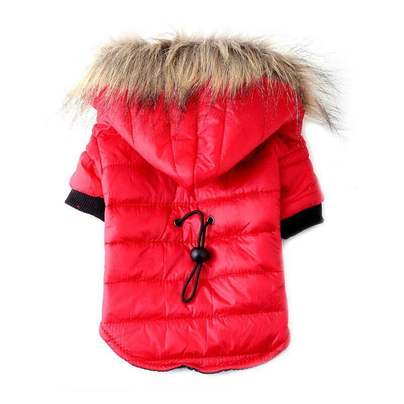 Cozy Knit Pet Sweater For Autumn And Winter-4