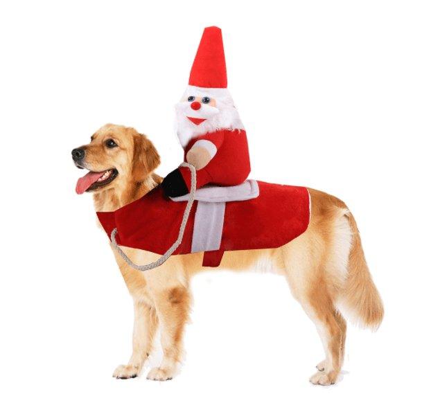 Cozy Paws Winter Pet Apparel: Stylish And Warm Clothes For Dogs And Cats-5