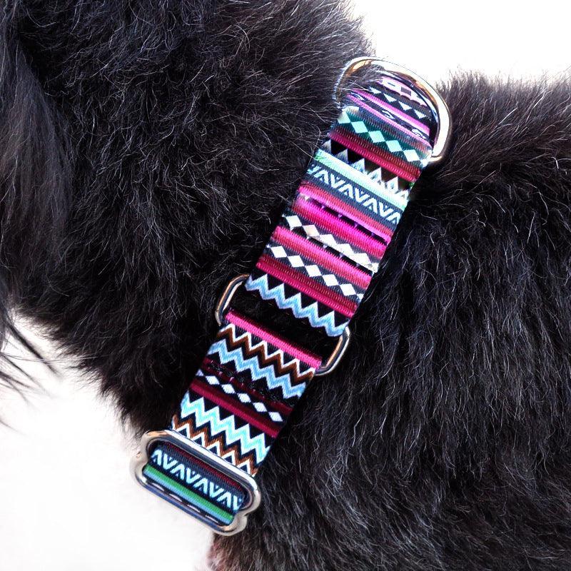 Cozy Stripe Pet Walking Leash-1