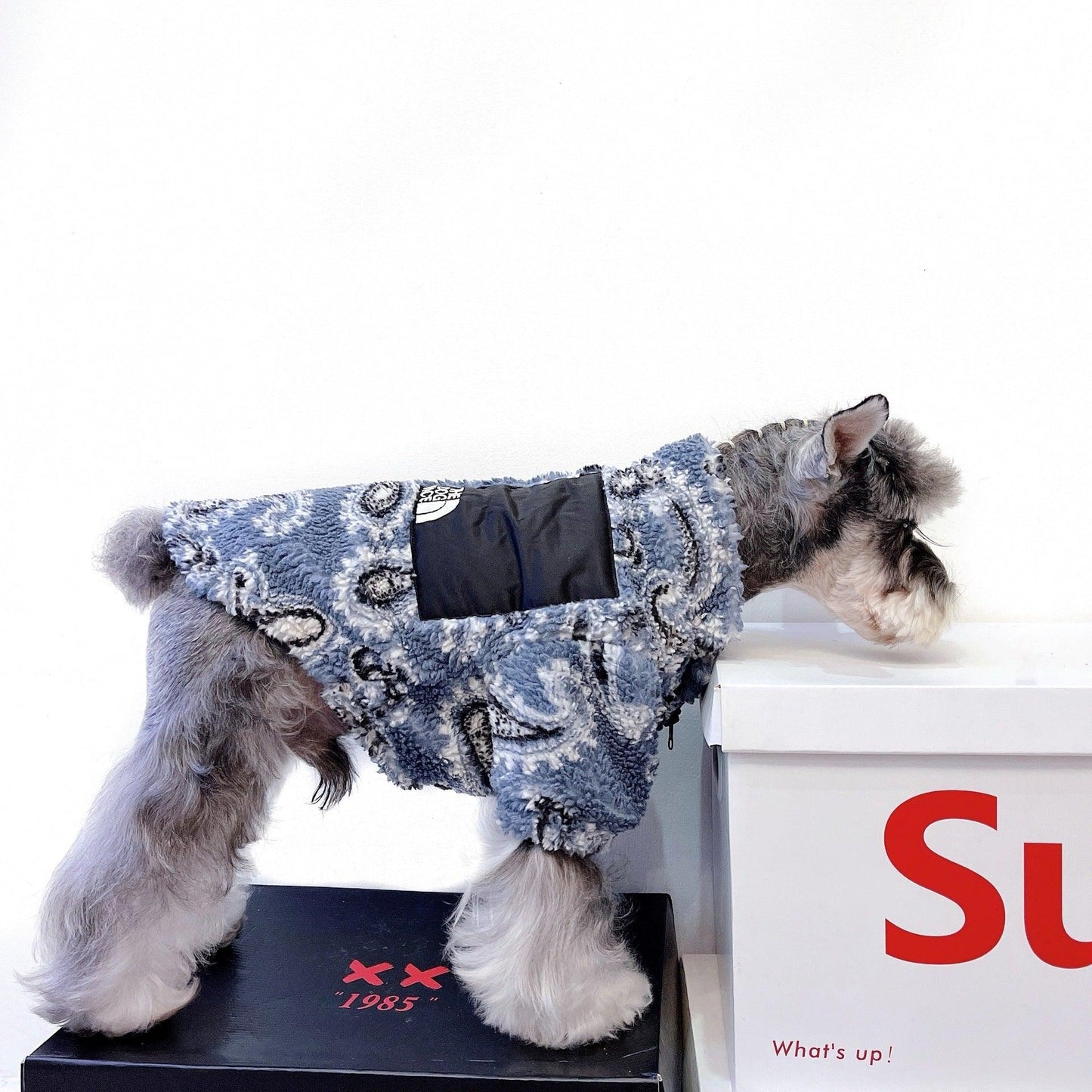 Cozy Velvet Apparel For Feline And Canine Companions-2