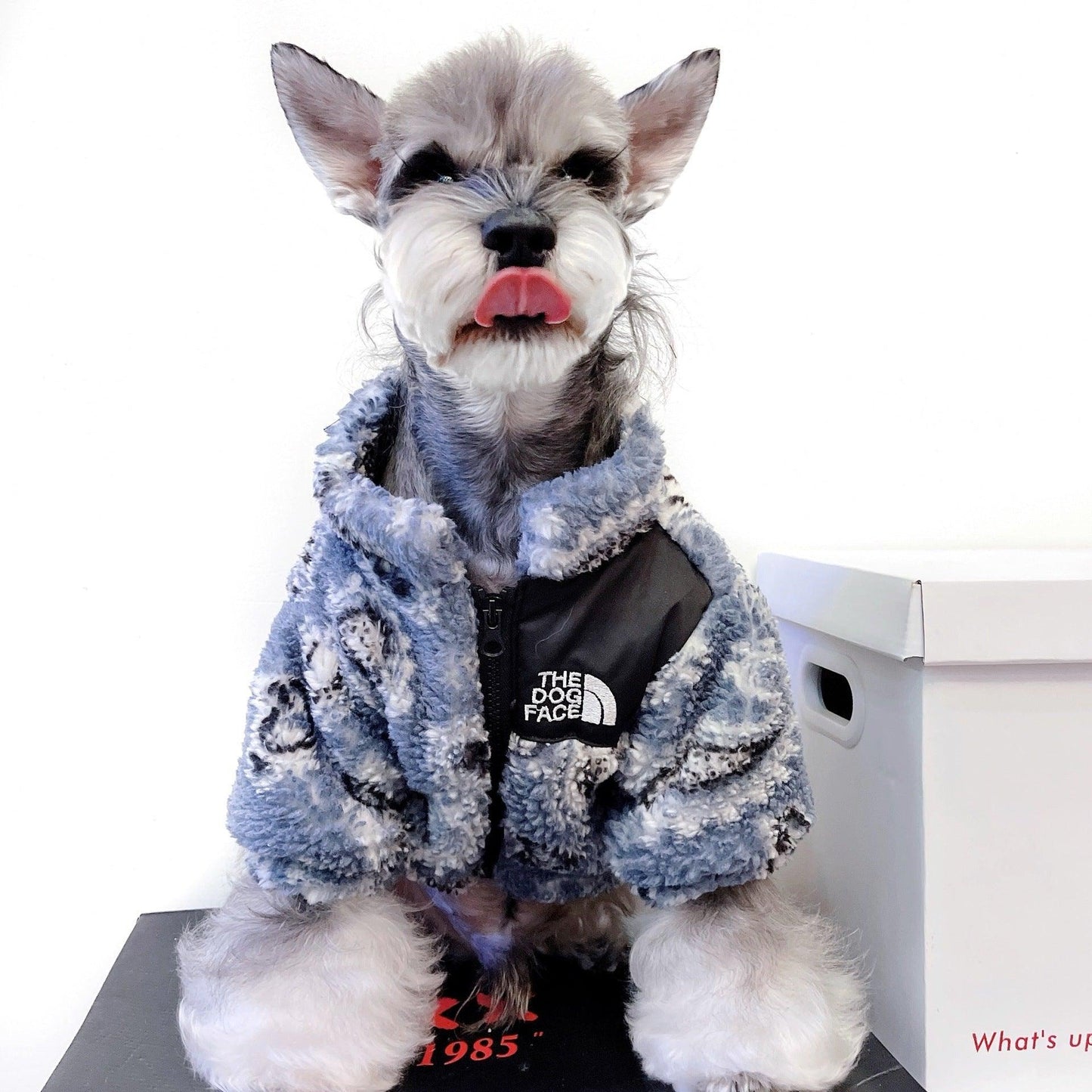 Cozy Velvet Apparel For Feline And Canine Companions-0