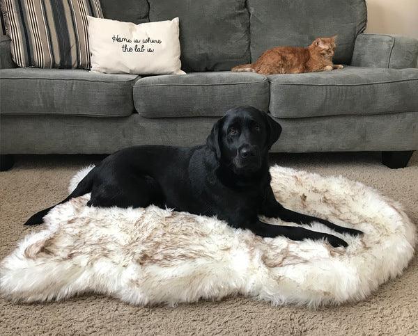 Cozycanine Plush Dog Bed - Luxurious Beige Mat For Restful Pet Sleep-0