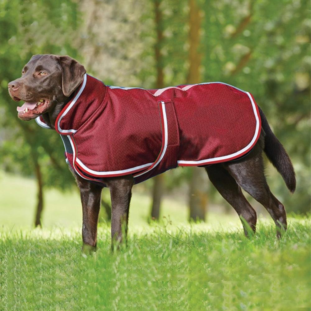 Cozypaws Waterproof Pet Jacket: The Ultimate Autumn And Winter Essential For Your Furry Friend-4