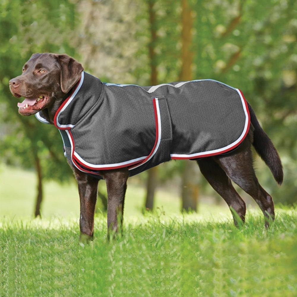 Cozypaws Waterproof Pet Jacket: The Ultimate Autumn And Winter Essential For Your Furry Friend-0