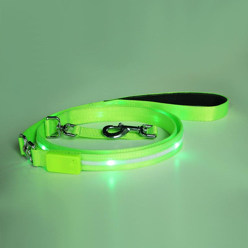 Luminous Glow-In-The-Dark Usb Charging Pet Leash-3