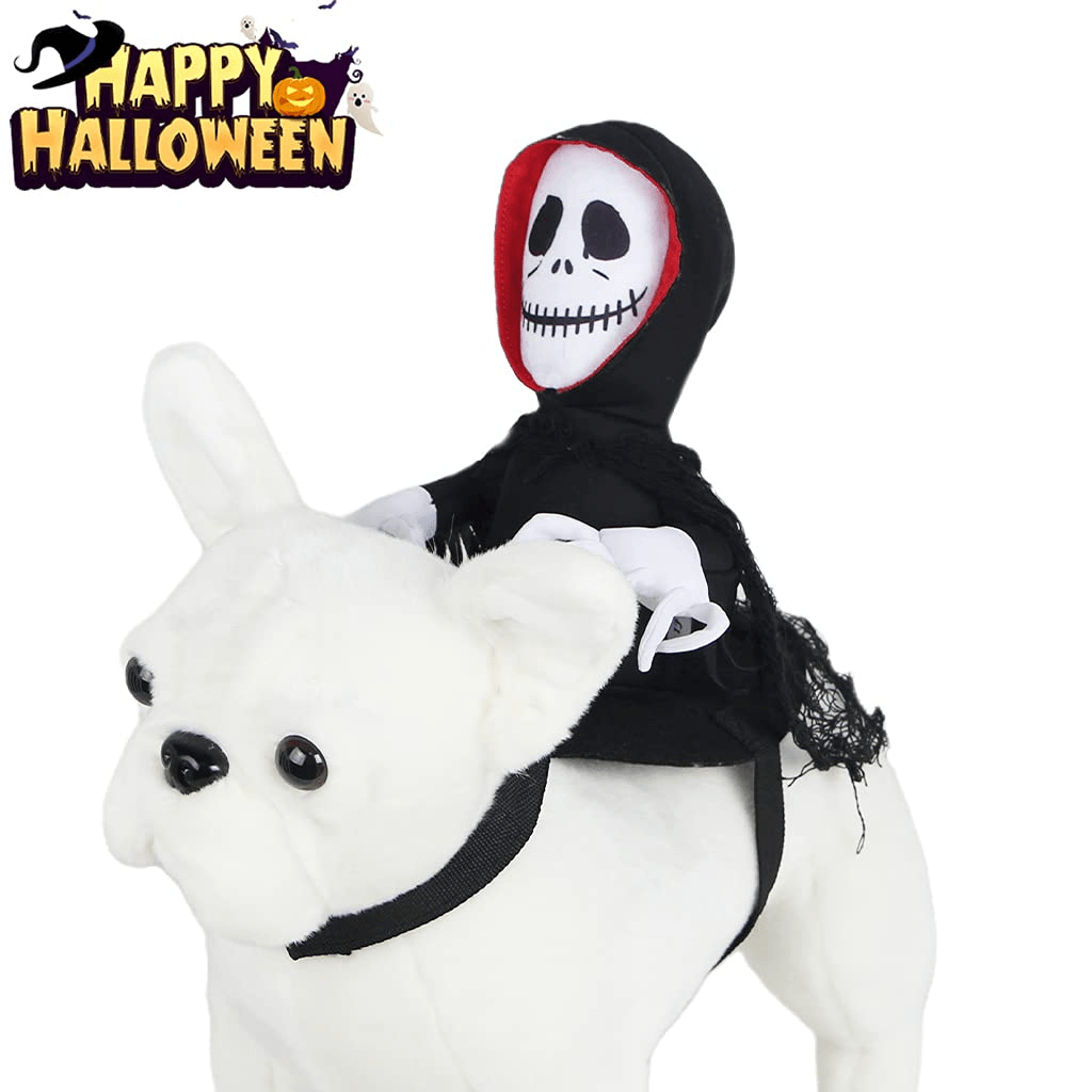 Scary Spider Rider Pet Halloween Costume-1