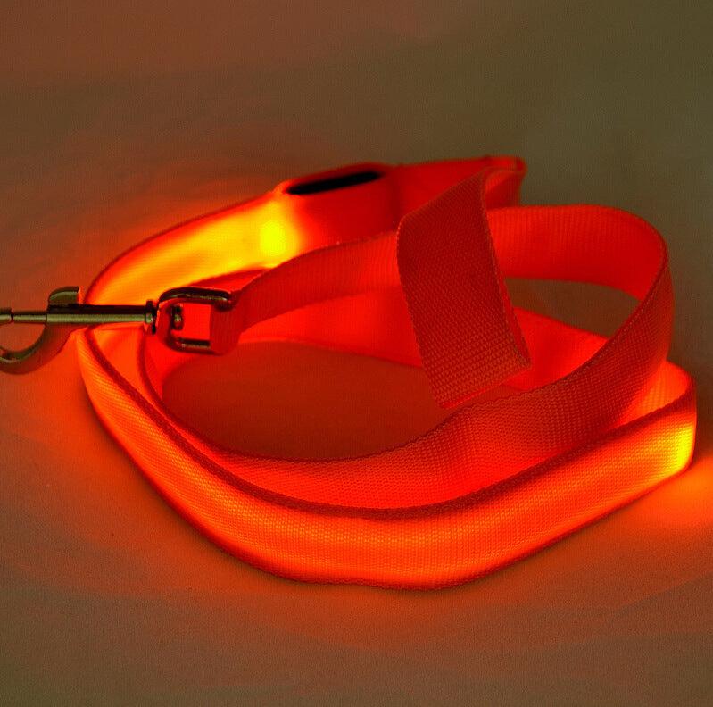 Glowing Pet Leash - Illuminated Led Dog Leash-0