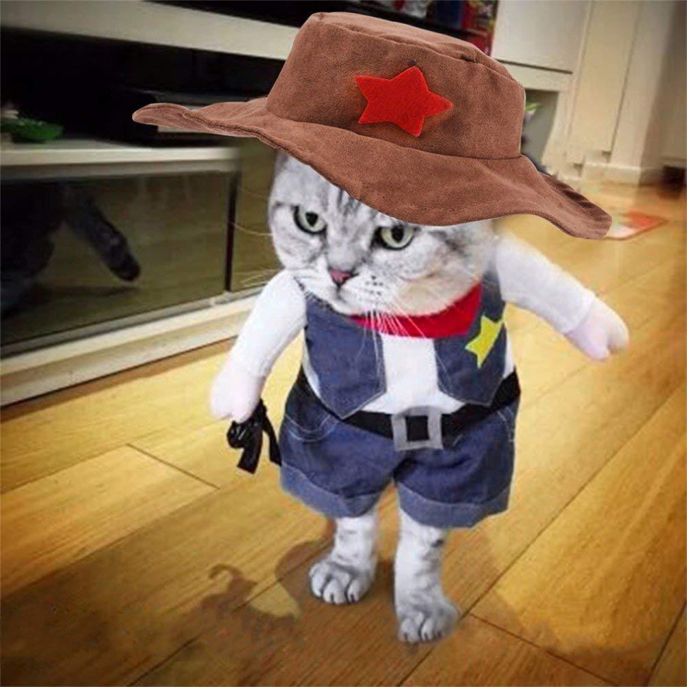 Denim Cowboy Pet Costume-1