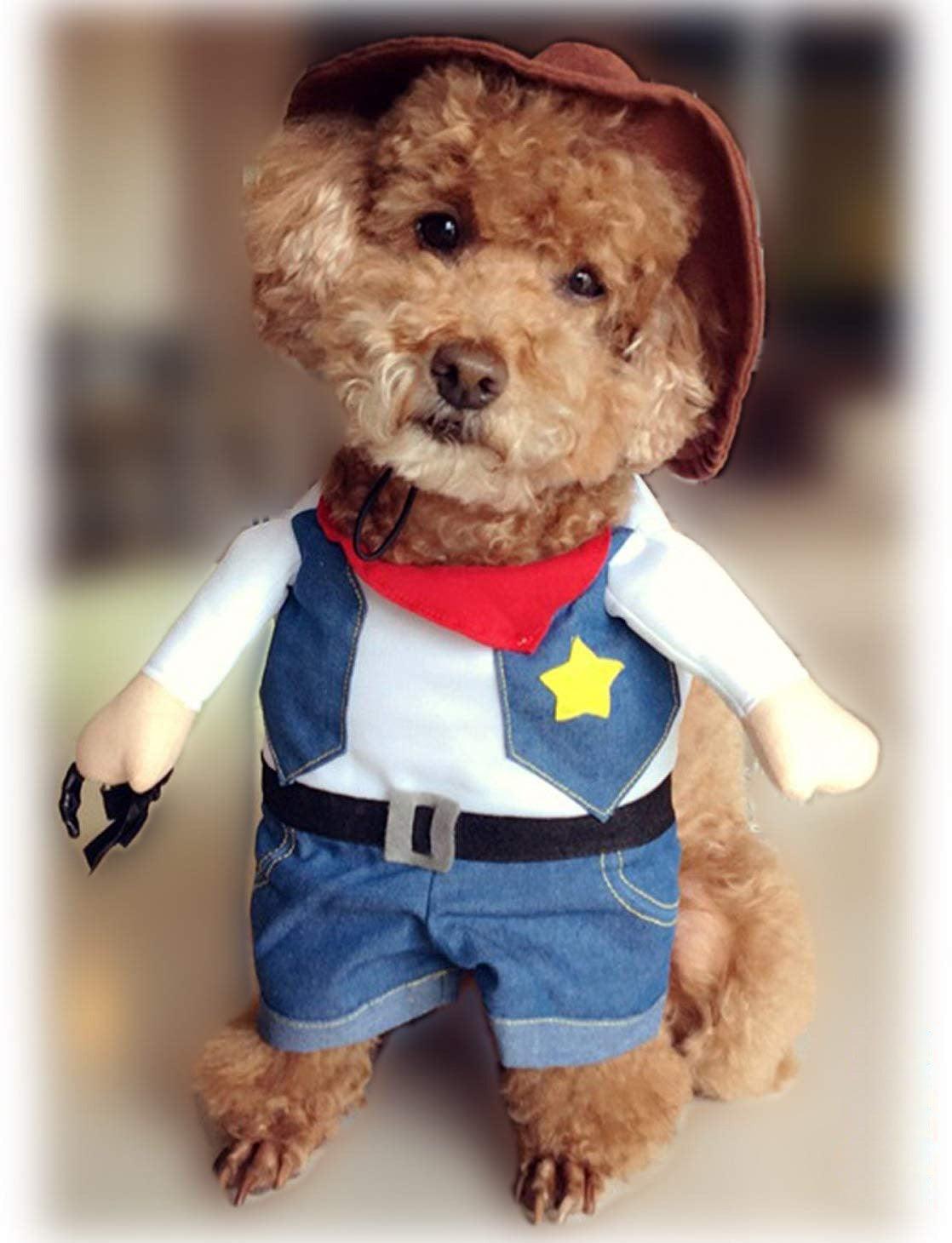 Denim Cowboy Pet Costume-3