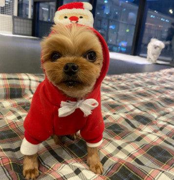 Festive Pet Holiday Sweater - Stylish Christmas Day Clothing For Pets-0