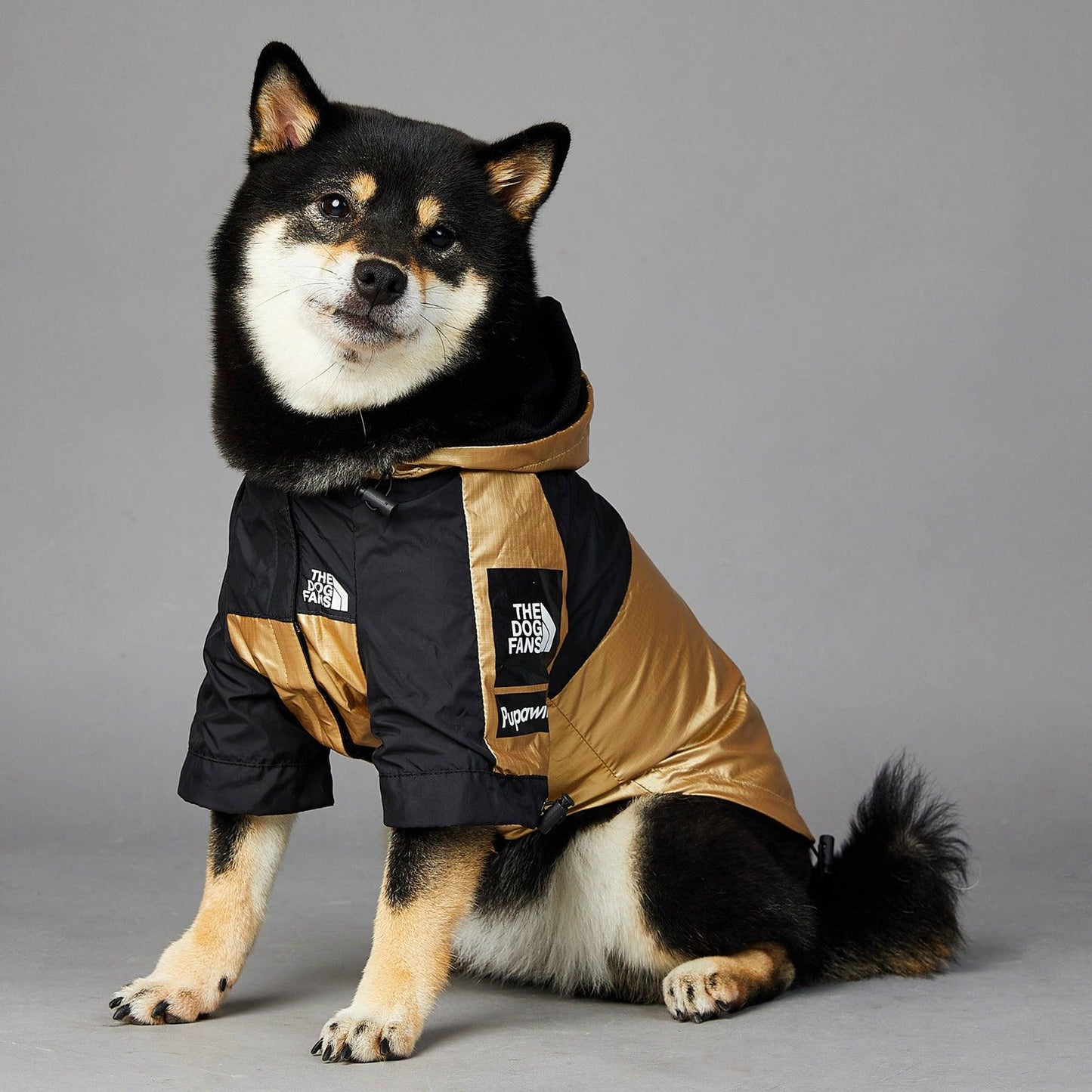 Golden Dog Raincoat - Stylish And Waterproof Pet Jacket-0