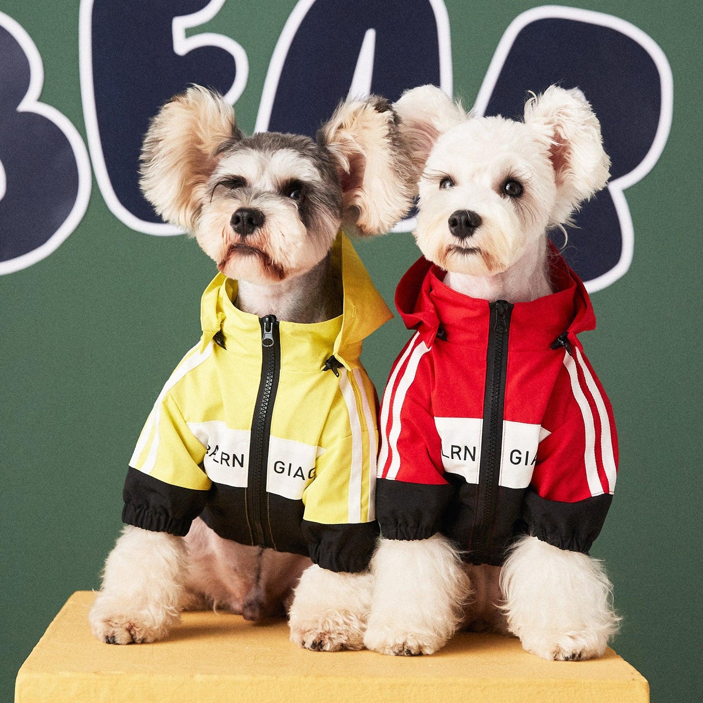 Waterproof Dog Raincoat Jacket - Protect Your Pup From The Rain-4