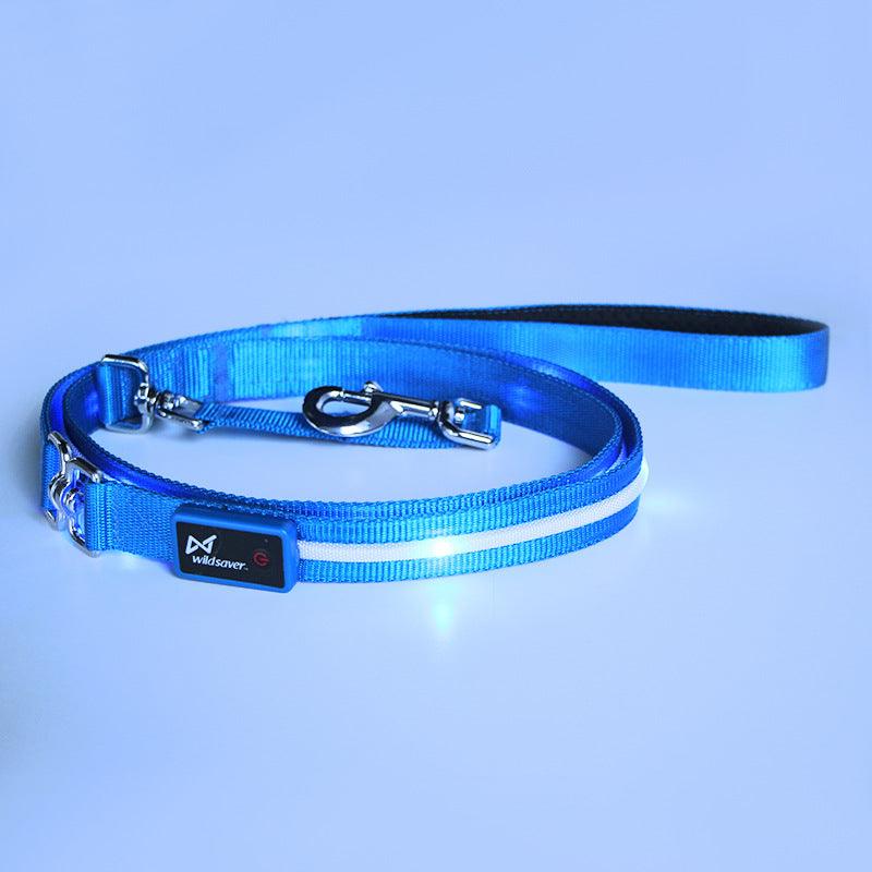 Luminous Glow-In-The-Dark Usb Charging Pet Leash-2